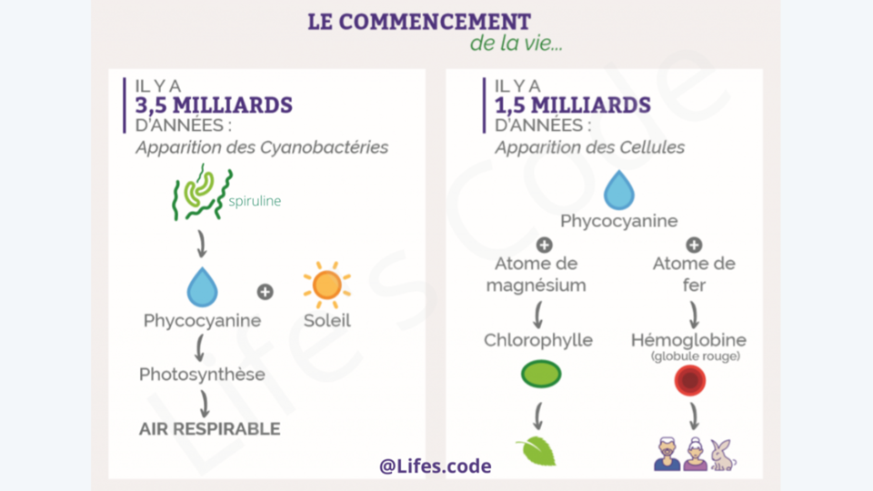 Un corps en pleine sant ! 